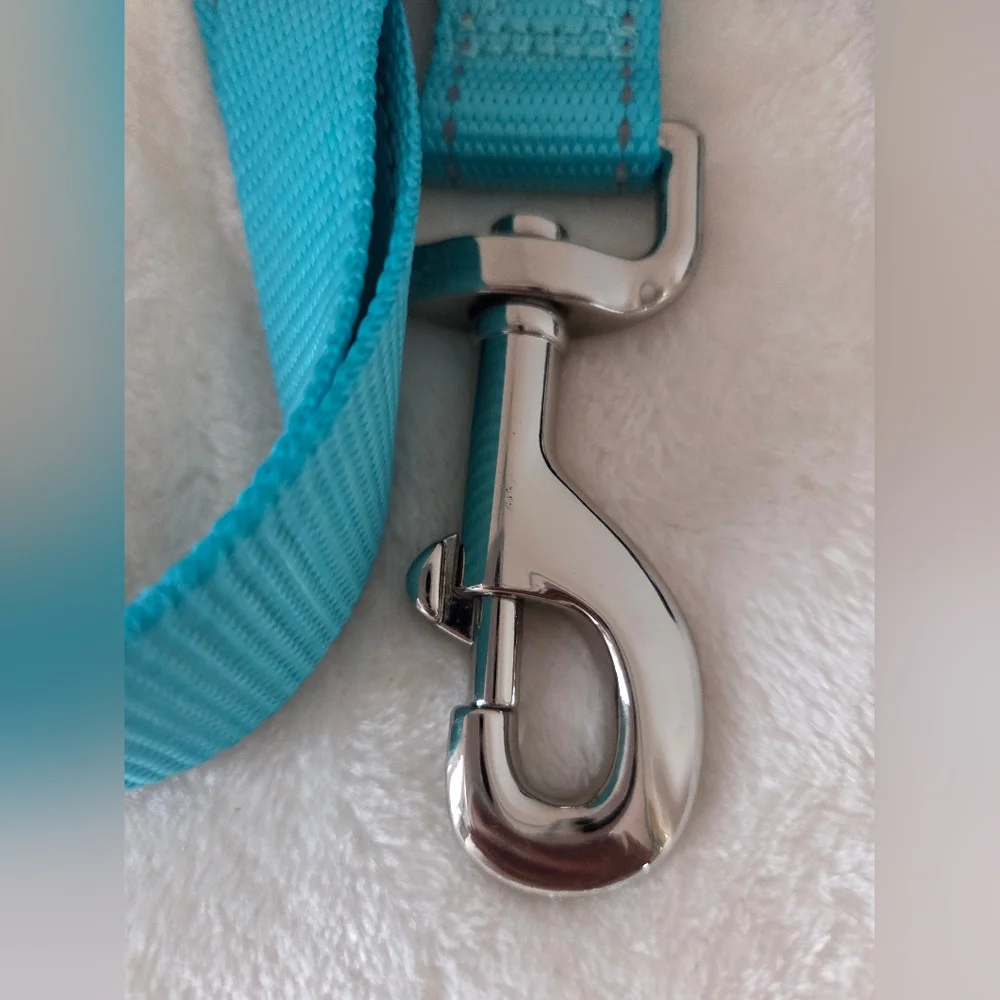 VIBRANT LIFE Reflective 6 feet Dog Leash Turquoise Teal with Metal Clip NWOT